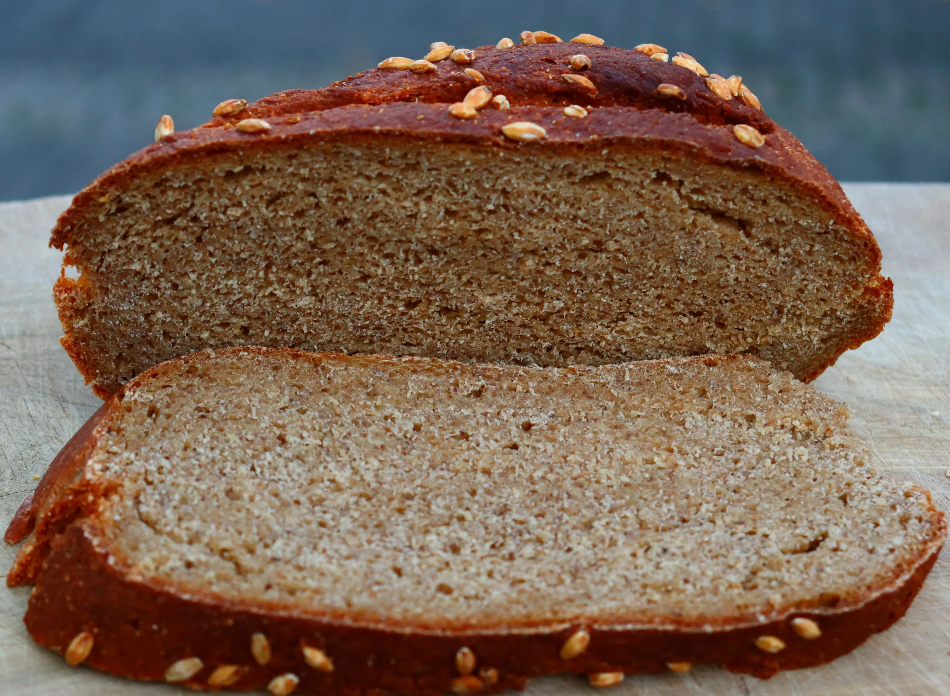Das allererste Bibel-Brot aus unserer Küche — aufgeschnitten, Krume sichtbar