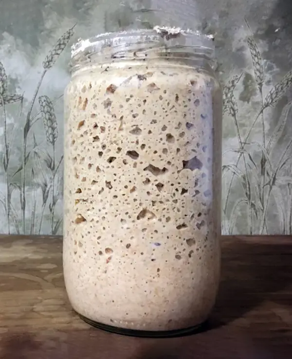 Sauerteig im Glas